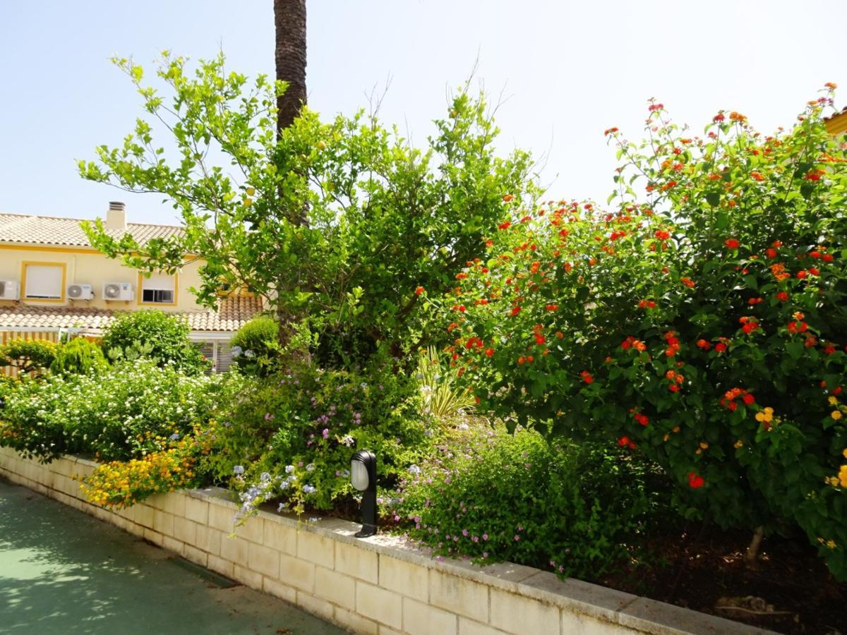 Apartmán La Playa Oliva - Casa 20 Alquiler Solo Familias Exteriér fotografie